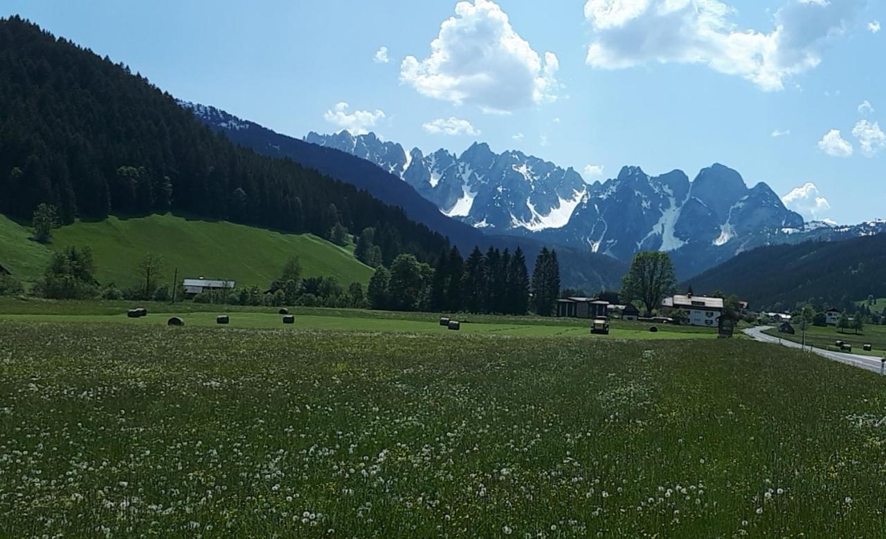 Transylvania Villa & Spa Gosau Exterior photo